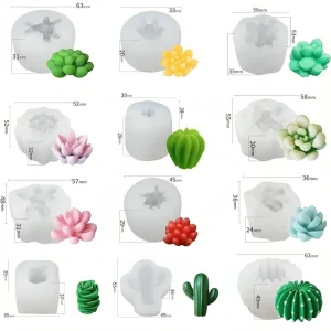 Moldes de Silicón Terrario (set con 12 suculentas)